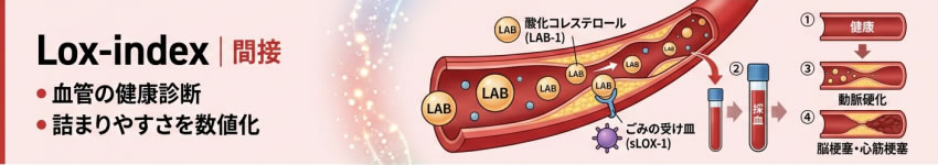Lox-index | 間接 ・血管の健康診断 ・詰まりやすさを数値化